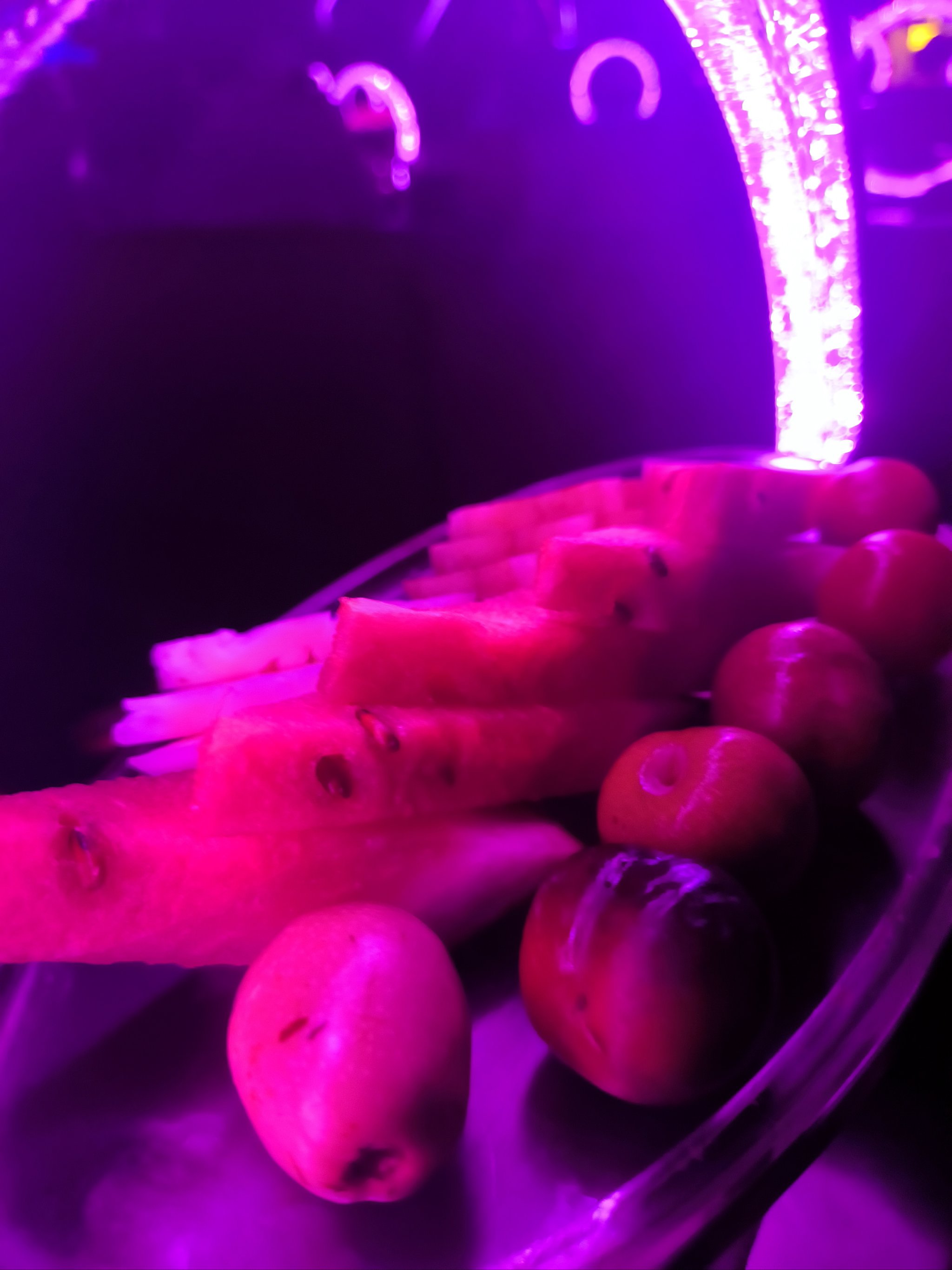 菏泽商务ktv经营预算-鄄城县ktv预订